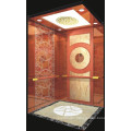 Fjzy-High Quality and Safety Passenger Elevator Fjk-1673